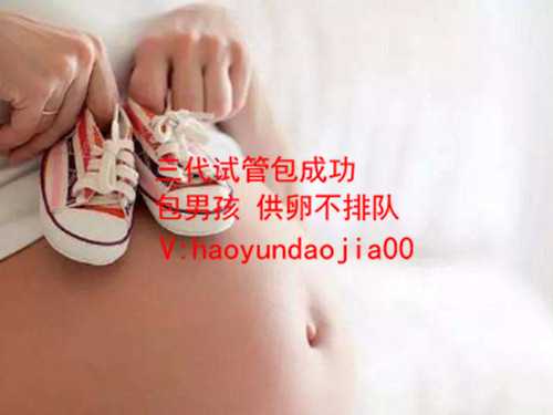 上海供卵生的孩子像自己么_上海医院试管供卵费用_备孕要检查性激素六项吗