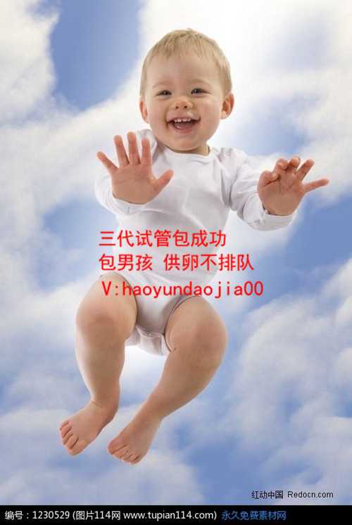 上海哪里的试管医院有供卵_上海有供卵的私立医院吗_试管成功率一般是 40~50