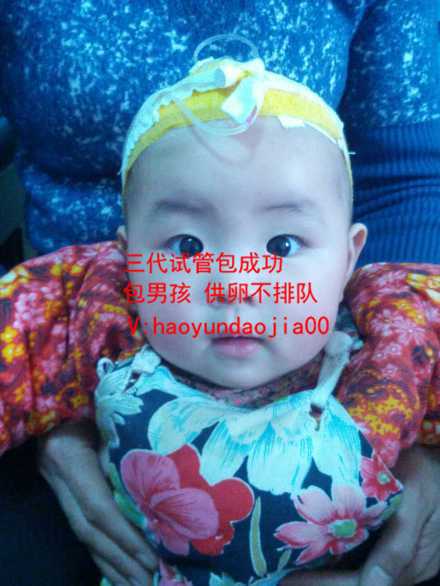 上海二院供卵_上海供卵助孕需求大的原因_是否做试管婴儿要看情况而定