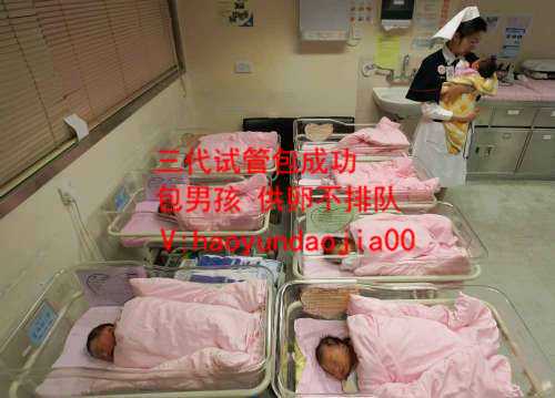 上海生殖医院有供卵吗_供卵自怀发育慢_冬季亲子活动，请看户外!