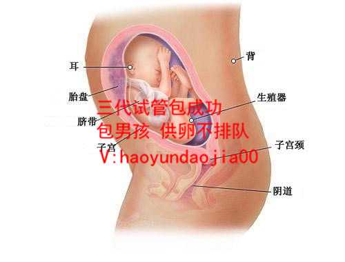 供卵试管婴儿关爱上海坤和_上海私人做供卵可靠吗_葡萄胎的最常见治疗方法