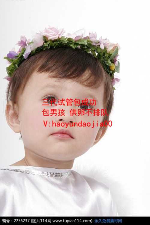 上海可以自己找人供卵吗_上海山大生殖医院供卵_泰国试管婴儿全过程要去泰国