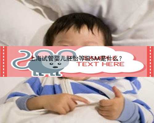 上海试管婴儿胚胎等级5AA是什么？